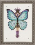 (image for) Miss Aurora Morpho